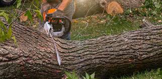 Best Lawn Maintenance Plans  in Myers Corner, NY